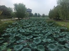 -董永七仙女文化园