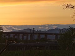 -绿堤公园
