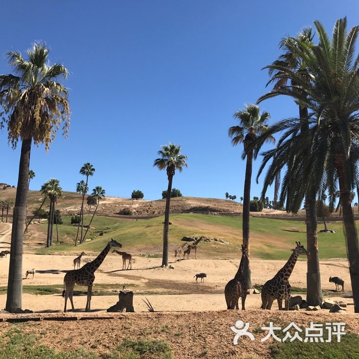 圣地亚哥动物园