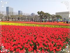 -大宁公园