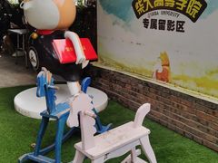 -柴犬高等学院·狗咖·柴犬售卖·宠物训练