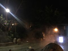 -青城道汤池