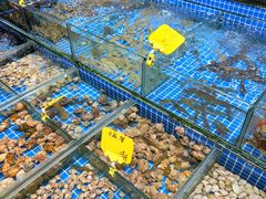 -滑记海鲜饭店·老字号(海鲜街店)