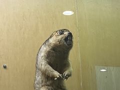 -陕西自然博物馆