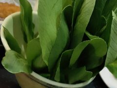 小青菜-重庆圣渝老火锅(掌起镇横街店)