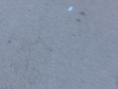 -海花锅盖烧烤店(怡馨家园店)
