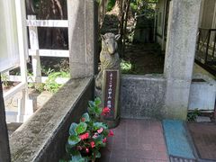 -神户市立六甲山牧场