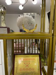-西施无菌半永久纹绣眉眼影唇轻增发纹发际线