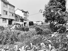 -金山嘴渔村
