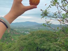 -灵岩山风景区