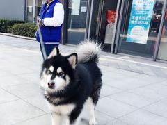 -木渎影视城