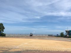 -广东惠东海龟国家级自然保护区