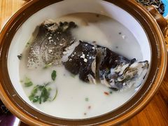 -全乐鱼馆·淳牌有机鱼直营店