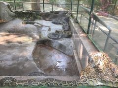 -广东茂名森林公园