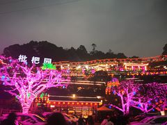 -枇杷园食为鲜火锅(南山店)