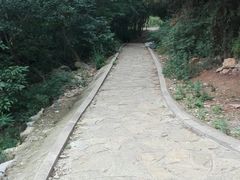 -水池山公园