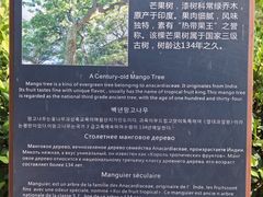 -涠洲岛-圣母堂