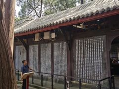 -子昂故里文化旅游区