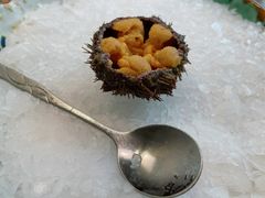 活海胆-万岛日本料理铁板烧(太古里店)