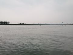 -白洋淀景区