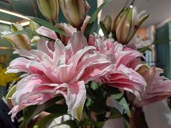 -南堂馆·新川菜(春熙路店)