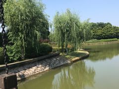 -上海鲜花港