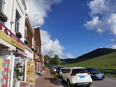 -关山草原
