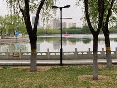 -莲花池公园