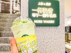 -茉酸奶(春熙路店)