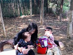 -艾溪湖湿地公园