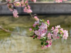 -海棠花溪(元大都城垣遗址公园)