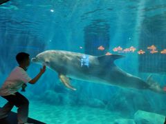 -福州罗源湾海洋世界旅游区