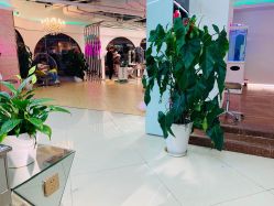 -BULB STUDIO 巴柏明星发型工作室