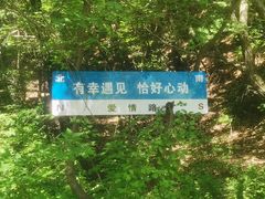 -红崖峡谷景区