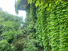 -中国茶叶博物馆(双峰馆区)