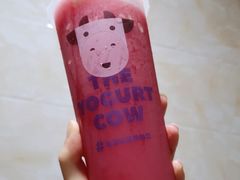 超爽西瓜菌-一只酸奶牛(汕头金平万达广场店)