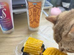 -山崎面包(苏州中心店)