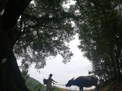 -北岐滩涂