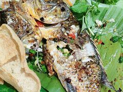 -沐毫傣泐云南菜孔雀宴•手抓饭傣味烧烤(曼听公园店)
