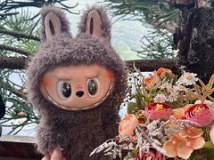 -六阅·福十 FORTEN 海景咖啡西餐厅(双廊古镇店)