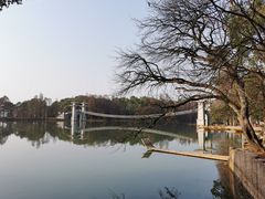 -东湖落雁景区