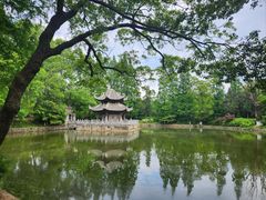 -习家池