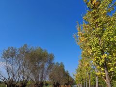 -汉长安城未央宫国家考古遗址公园