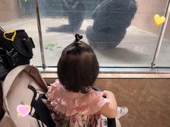 -石家庄市动物园