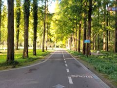 -黄海国家森林公园