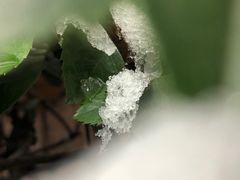 -江苏议事园酒店