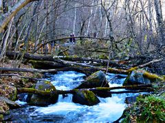 -叠溪松坪沟景区