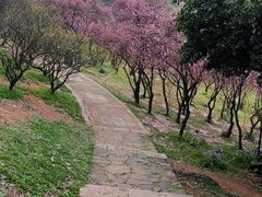 -无锡梅园公园
