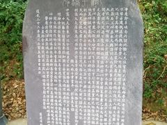 -羚羊峡古栈道森林公园