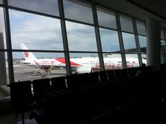 -约翰·菲茨杰拉德·肯尼迪国际机场